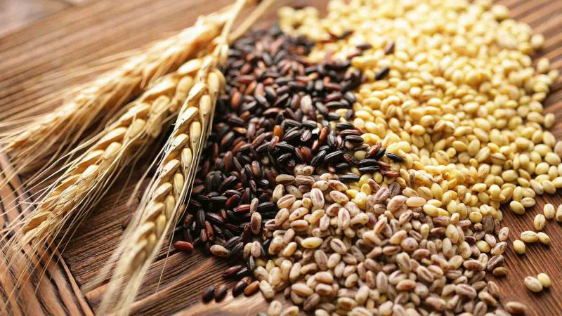 article_switching_to_wholegrain_2048x1152_01_2